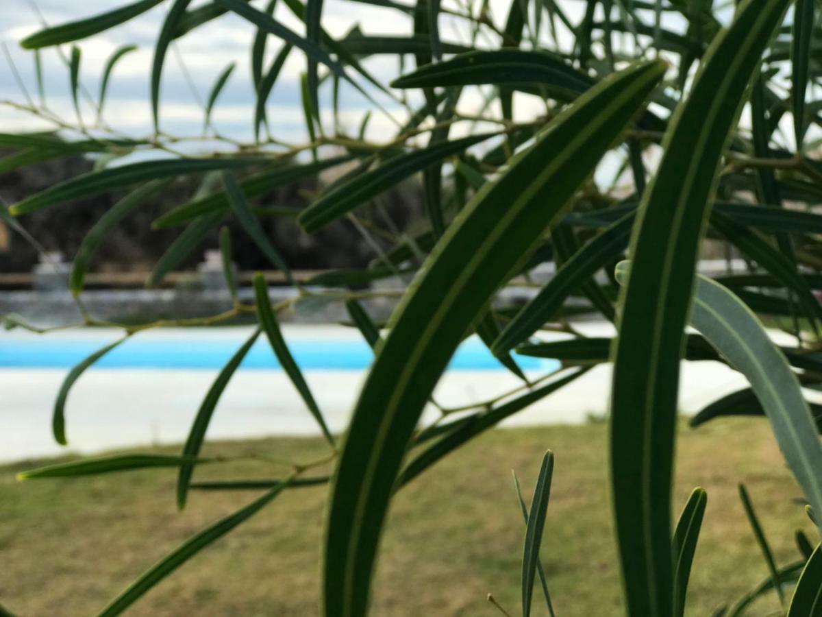 Villa Elisabeth Pláka 外观 照片
