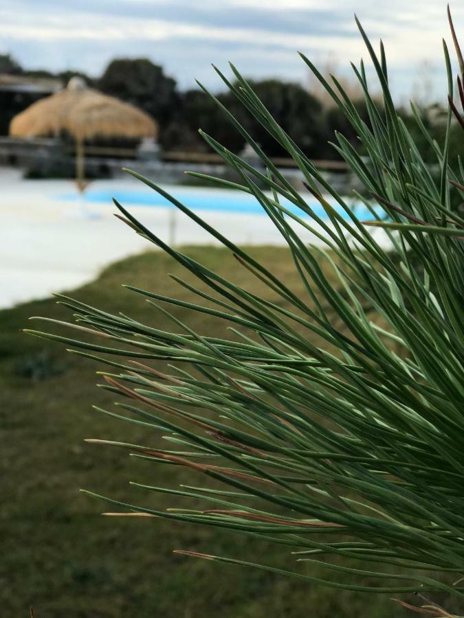 Villa Elisabeth Pláka 外观 照片
